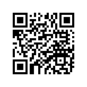 94110-09024-00 TIRE (AT19X10-9 DI-K502A T/L N