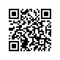 94110-09028-00 TIRE (AT20X10-9 DI-K778A T/L)