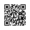 94110-1011H-00 Покрышка Пневматическая