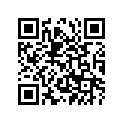 94110-171M8-00 100/80-17