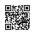 94110-191G6-00 Tire (100/90-19-57H)