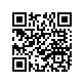 94110-194H7-00 100/90-19 BS G535