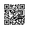 94110-194N8-00 TIRE