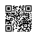 94110-210U0-00 80/100-21 Bs M51  Brigestone