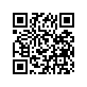94110-213E7-00 100/80-21 M2E (TT)