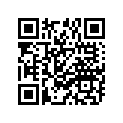 94111-1207B-00 Tire