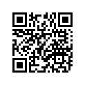 94111-143G4-00 BS 110/80-14M38