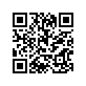 94111-161J3-00 110/90V16 BS G527A