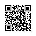 94111-17010-00 Tire