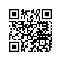 94111-170U9-00 110/70R-17 BS CY03A