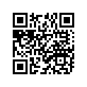 94111-177W6-00 110/70-ZR17MP7 P/R