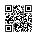 94111-18008-00 110/100-18 64M DUN D739