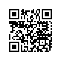 94111-181X0-00 110/100-18 DUN K695PT