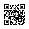 94111-183F4-00 Tire (2.50-14) (4pr)