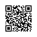 94112-12X04-00 Tire