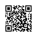 94112-12X06-00 Tire