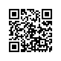 94112-16867-00 Tire (120/90S 16 63S)