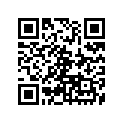 94112-17098-00 Покрышка Пневматическая