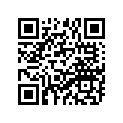 94113-16019-00 TIRE (130/90-16 M/C 67H) BS