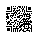 94113-16762-00 Tire (2.50-14) (4pr)