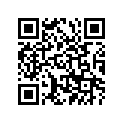94113-16764-00 Tire (2.50-14) (4pr)