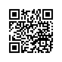 94113-182G3-00 130/80-18 BS M38
