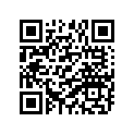 94118-17086-00 TIRE