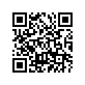 94120-17011-00 Шина