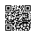 94125-16293-00 250X16 IRC MXGS45F