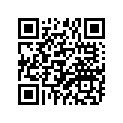 94125-17011-00 