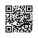 94125-17876-00 Tire (2.50-17)