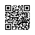94125-18111-00 250X18 YOKOHAMA