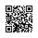 94125-21685-00 Tire