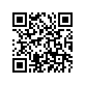 94127-18115-00 275-18 YOKO ENDURO