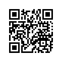 94127-2106K-00 Tire (2.75-21)