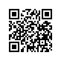 94127-21287-00 275X21 IRC MX45