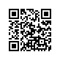 94127-21779-00 Tire (Mcs 2.75-21 45P)