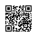94127-217H5-00 Tire (2.75-21)