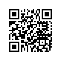 94130-21248-00 300X21 DUN SR SPRT