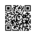 94131-1709C-00 Tire (3.10/4.80 R1  Dunlop (usa)