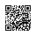 94132-08865-00 Tire (3.25- 8)