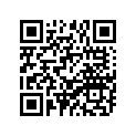 94132-19355-00 325X19 BS 21F