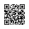 94145-17384-00 450-17 BS 21R2