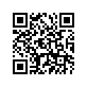 94145-17598-00 Tire