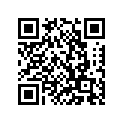 94206-10003-00 Tube (60/100-10)