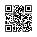 94208-21881-00 TUBE 80/100-21-MT2