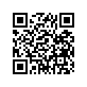 94225-19133-00 TUBE (2.75-19)(3GX)