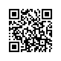 94225-21185-00 Tube (2.50-21)