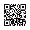 94251-17163-00 