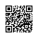 94380-53031-00 Band, Rim